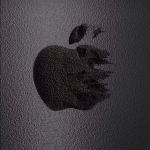 Meet your Posher, Brayan